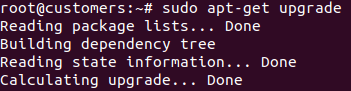 sudo apt-get upgrade