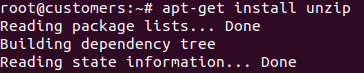 apt-get install unzip