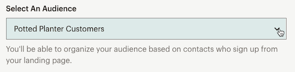 audience for landing page